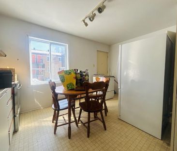 Appartement 4 ½ à louer Lévis juillet 2026 - Photo 3