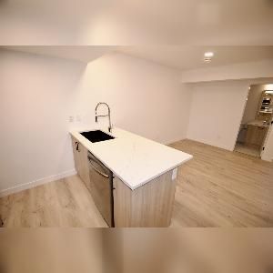 1 Bed 1 Bath Suite SE Edmonton Mattson - Photo 3