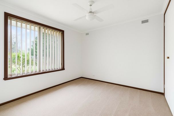 Comfortable Family Home in a Great Hampton Park Location - Photo 1