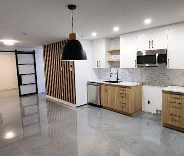 logement 4 1/2 Marieville electros inclus - Photo 2