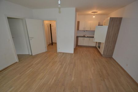 PROVISIONSFREI – Jakomini – 50m² – 2 Zimmer – große Terrasse – Eigengarten – perfekte Raumaufteilung - Foto 5