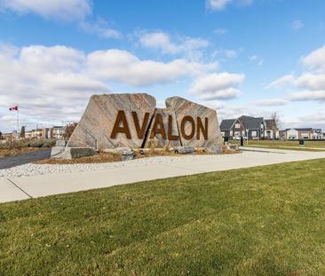 For Lease - 34 MacLachlan Avenue, Haldimand, Ontario - Photo 4