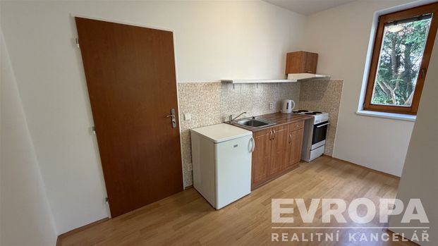 Pronájem bytu 1+kk a garsoniéry 30 m² - Photo 1