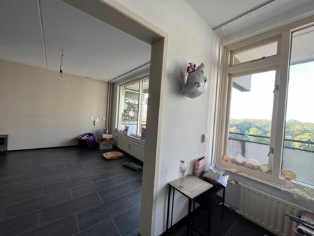 Te huur: Appartement Steenvoordelaan 46 in Rijswijk - foto 3