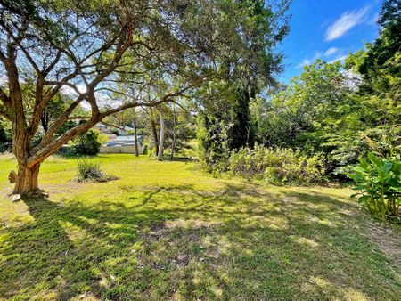 Neat & Tidy One Bedroom Rental in Hazelbrook - Photo 3
