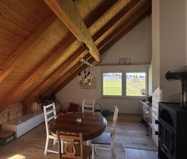 3-ROOM LOFT APARTMENT IN KAUFDORF (BE), FURNISHED, TEMPORARY - Photo 1