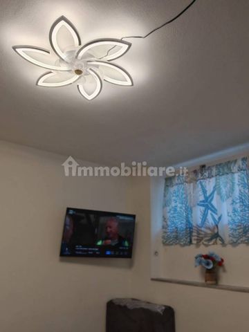 Monolocale viale Domenico Zaccagna, 54033, Avenza, Carrara - Photo 3