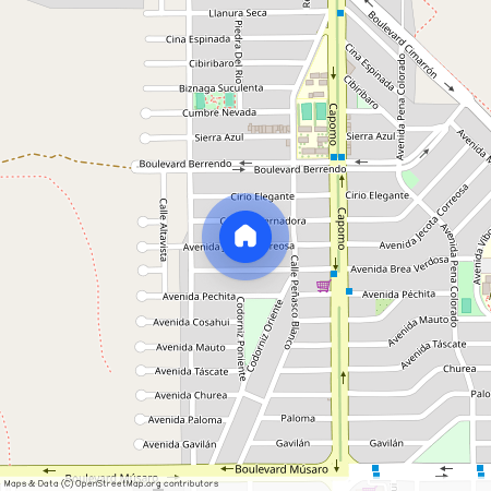 Nuevo Hermosillo, 83296