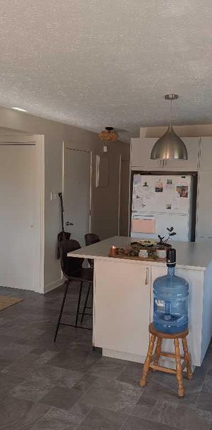 Colocation 🌞 Lumineuse et Joyeuse ! 5 1/2 Sutton - Photo 1