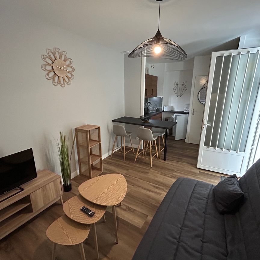 Location Appartement 1 pièce 19m² SAUMUR 49400 - Photo 1