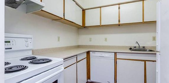 Mclean :One bedroom Apartment 2,100$ for Oct 1st - Photo 2