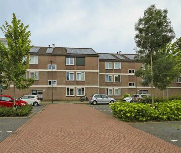 Appartement Santrijnhof 43, Oosterhout - À louer - Foto 1