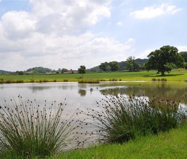 Dulcote, Wells, Somerset, BA5 - Photo 6