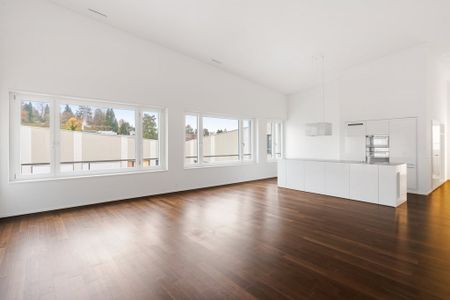 3 ½ Zimmer-Wohnung in Winterthur mieten - Photo 4