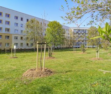 Geborgenheit im neuen Familiennest - Foto 3