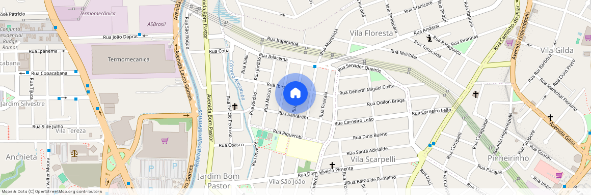 Rua Parintins - Vila Floresta, Santo André - SP