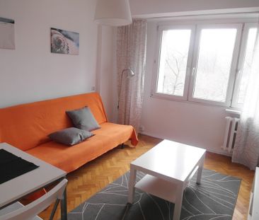 Katowice, Śródmieście, Uniwersytecka - Zdjęcie 3
