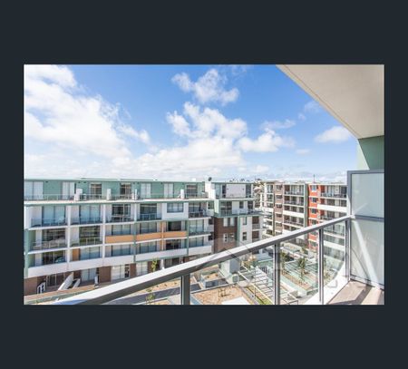 5615/42-44 Pemberton Street, Botany, NSW 2019 - Photo 5