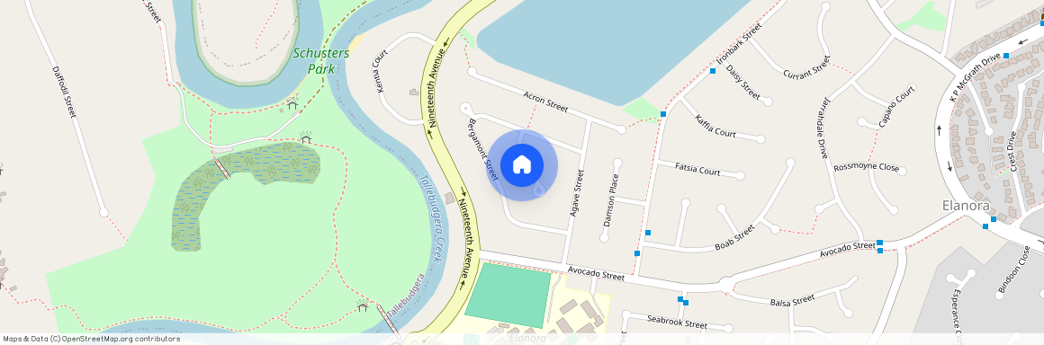 11 Blackbean Court, Qld 4221, Elanora