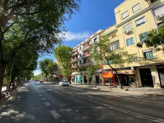 Calle Manuel Pavía, Madrid, Community of Madrid 28031 - Photo 1