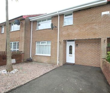 17 Bryson Park, Newtownabbey, BT36 5XP - Photo 5