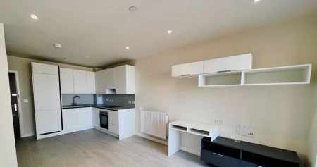 1 Bedroom 1 Bathroom - Photo 4