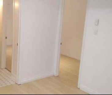 Split Level Basement Apartment - Photo 1