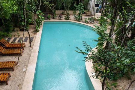 🌴BIENVENIDO ACINTE ENDEMICO A8🌴 - Foto 5