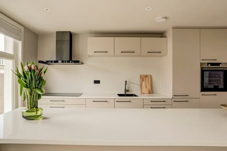 Pieter Cornelisz. Hooftstraat, 52, Amsterdam, 1071CA - Foto 3