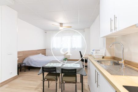 Monthly rental studio with 1 bedroom, 1 bathroom near Zoo Aquarium in Latina - Photo 3