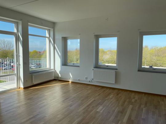 Vipeholms allé, Lund - Photo 1