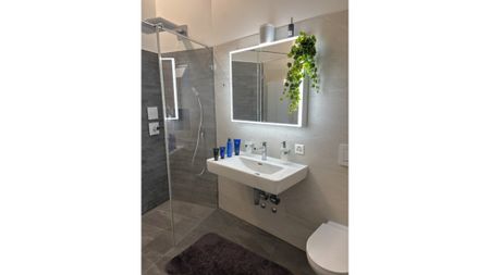 2½ Zimmer-Wohnung in Basel - Bachletten/Gotthelf, möbliert, auf Zeit - Photo 5