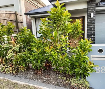 Low Maintenance Yard + Solar! - Photo 3