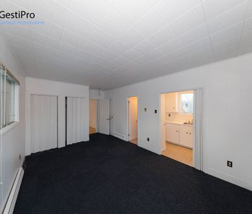 2841 Wilfrid-Légaré - Photo 3