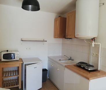 Location Appartement 1 pièce 29m² TAIN L HERMITAGE 26600 - Photo 4
