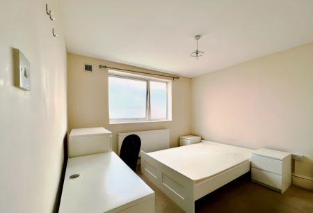 5 Bedroom 2 Bathroom- room 2 - Photo 4