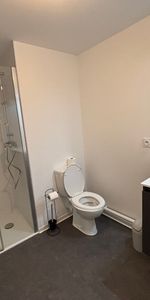 Location Appartement 1 pièce 23m² RENNES 35000 - Photo 4