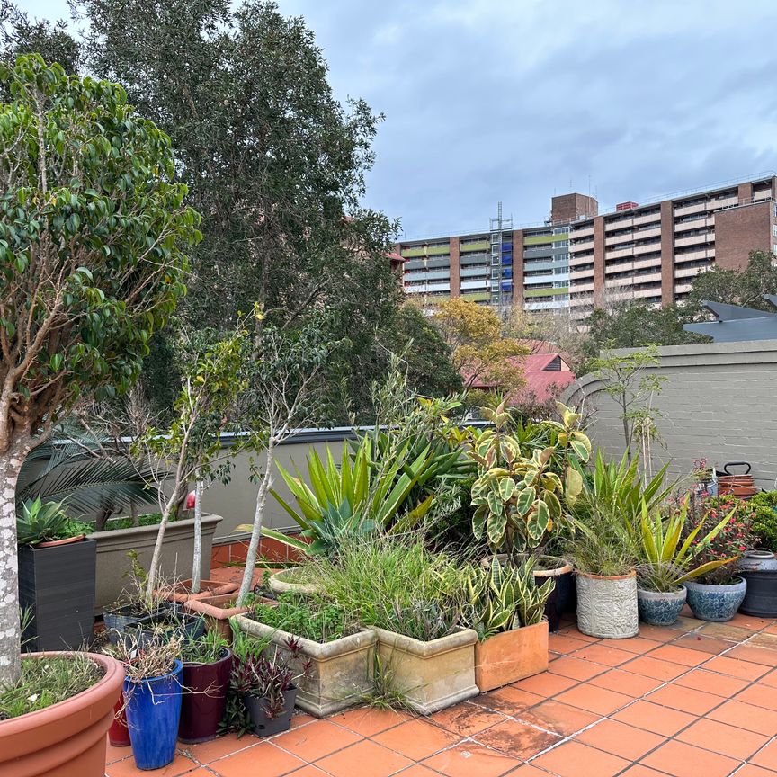 Surry Hills - Photo 1