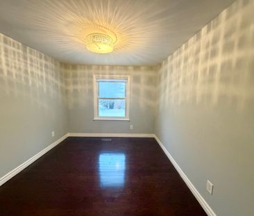 For Lease - 59 Carlton Road, Markham, Ontario - Photo 5