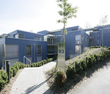 2 Zimmer, 51 m² - Photo 4