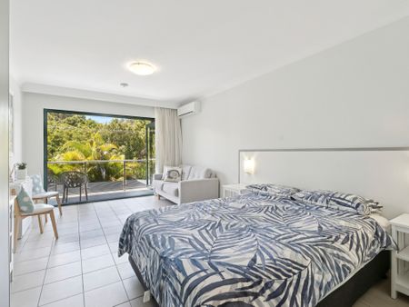 16/21-23 Twenty Second Avenue, Sawtell NSW 2452 - Studio For Rent | Domain - Photo 4