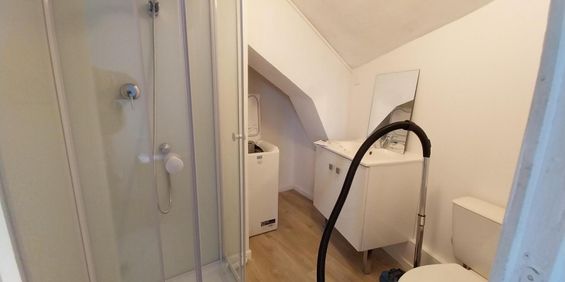 Location Appartement 1 pièce 16m² NANTES 44000 - Photo 3