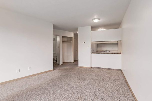 1 Bedroom - Photo 1