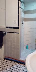 1 CH - 1 SDB - Montréal - $1,195 /mo - Photo 4