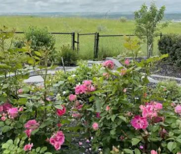 New Beautiful Walkout Basement | Calgary - Photo 1