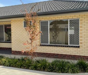 Spacious and Super Affordable ! 2 Bedroom Unit in the heart of Otto... - Photo 5