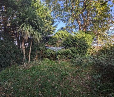 2 bedroom semi-detached house to rent - Photo 6