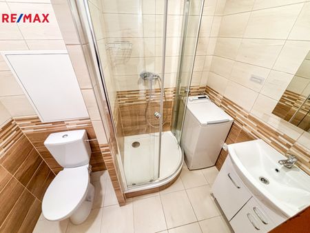Pronájem bytu 1+1 v osobním vlastnictví 42 m², Ústí nad Labem - Fotografie 5