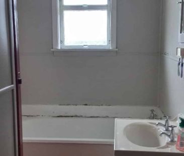 Neat and Tidy - Photo 4