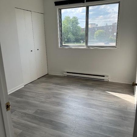 Superbe 4 1/2 moderne avec électroménager - Photo 3